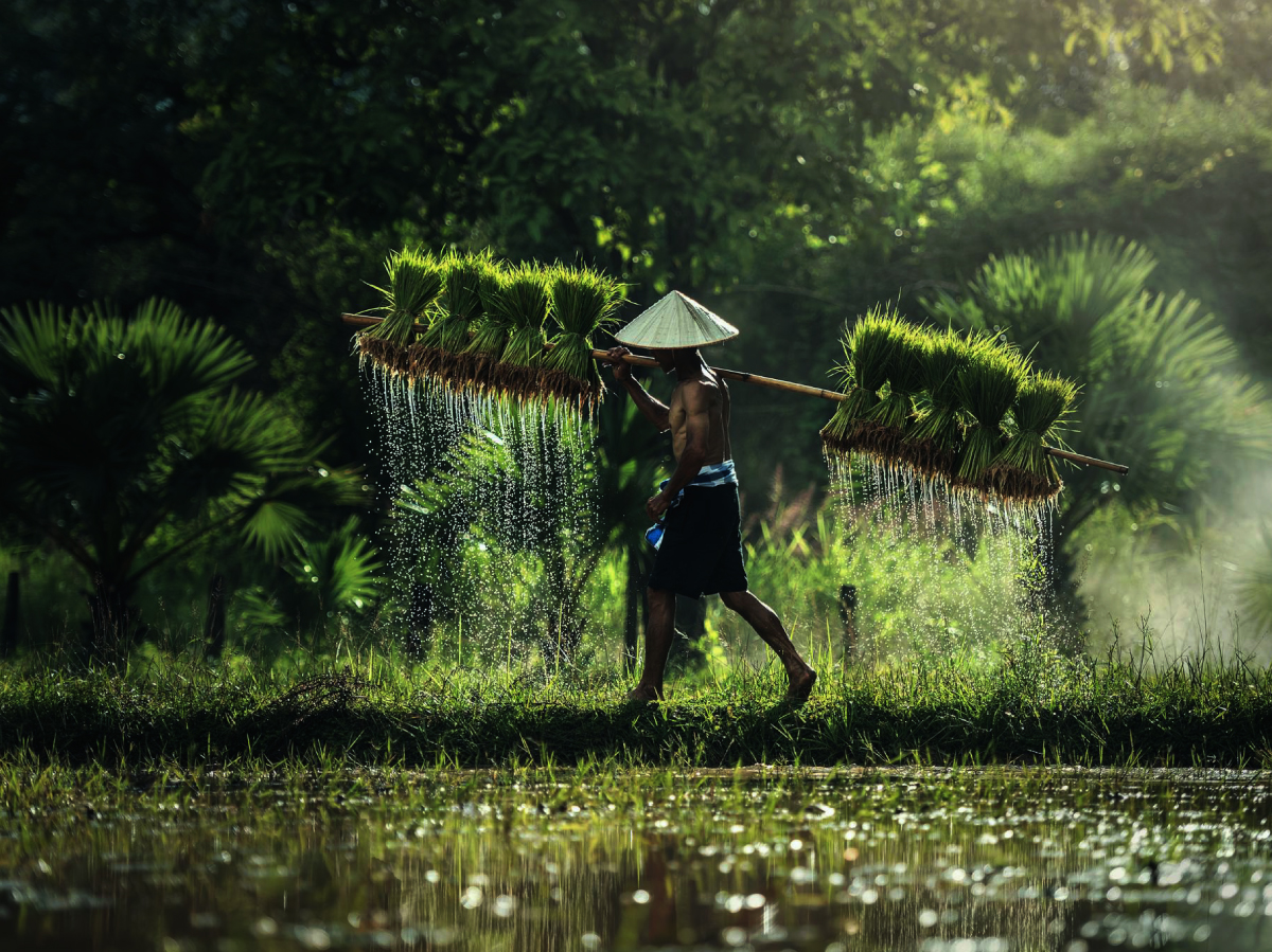 tailandia